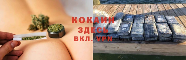 стаф Балахна