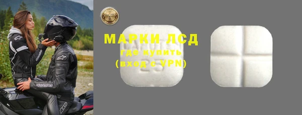 стаф Балахна